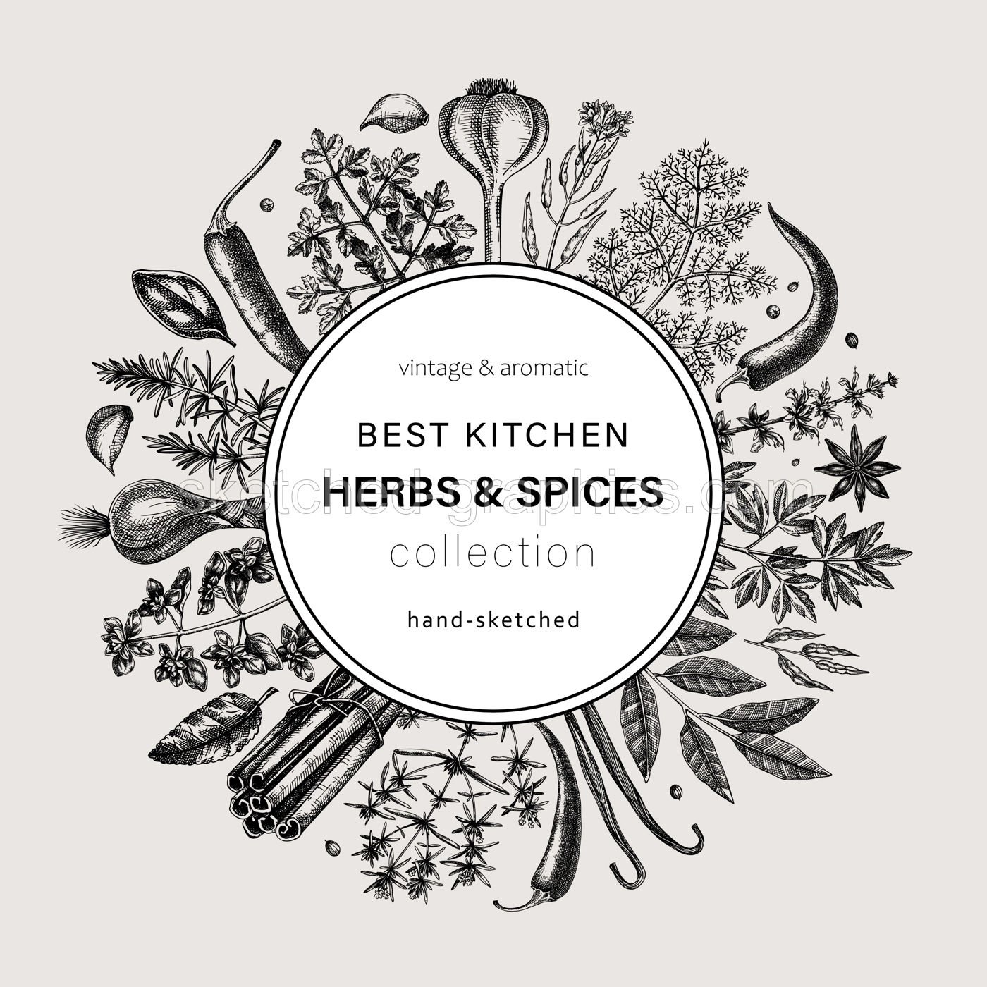 Hand-drawn herbs and spices round design. Hand-sketched food vintage wreath. Vintage aromatic plants hand-drawing. Kitchen herbs and spice frame template in sketched style for menu or banners Illustration
